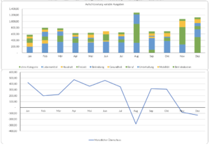 Statistike-Beispiel_Monkee_Haushaltsbuch_MonkeeBlog